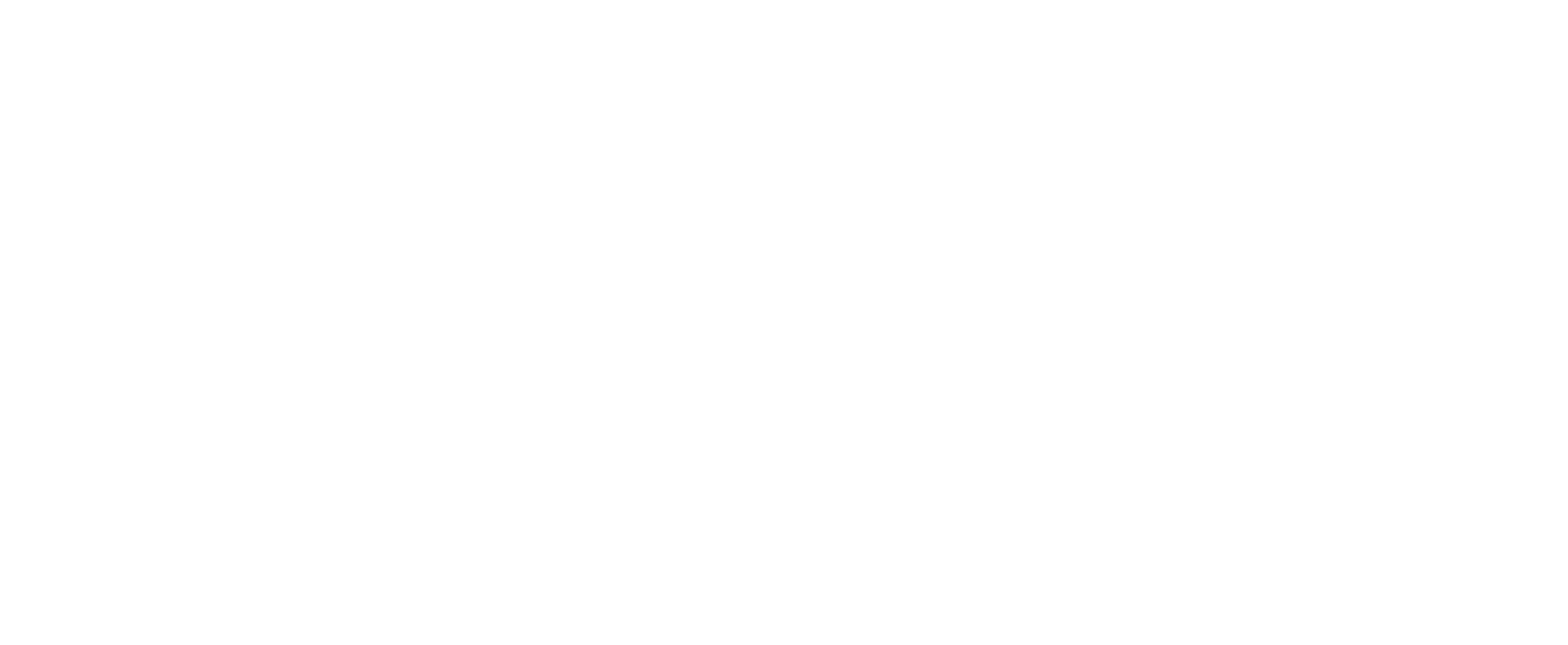logo3 logo3